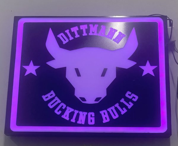 Light-Up Signs